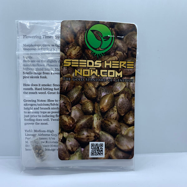 Lot 1007 Dominion Seed Company G13 Skunk (G13 x Basic Skunk) {REG} [13pk] - Image 2