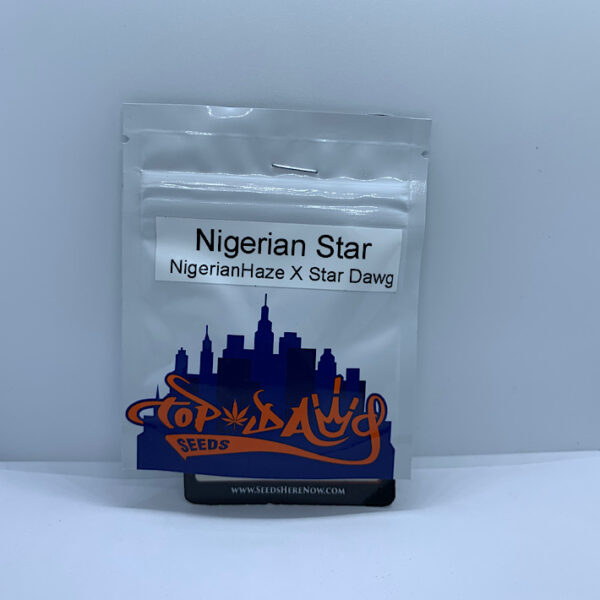 Lot 1009 Top Dawg Seeds Nigerian Star (Nigerian Haze X Star Dawg) {REG} [10+pk]