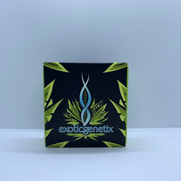Lot 1025 Exotic Genetix Mouth Party (Wojo Mints X Red Pop) {FEM} [6pk] - Image 2
