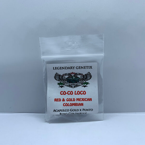 Lot 1026 Snow High Seeds CoCo Loco  (Acapulco Gold x Colombian Punto Rojo) {REG} [5pk]