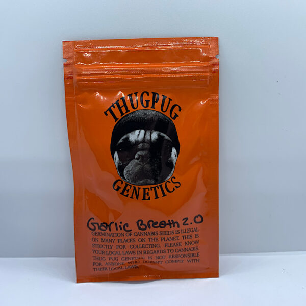 Lot 1032 Thug Pug Genetics Garlic Breath 2.0  (GMO x Mendobreath F2 (Junior)) {{REG}} [10+pk] - Image 2