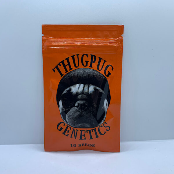 Lot 1032 Thug Pug Genetics Garlic Breath 2.0  (GMO x Mendobreath F2 (Junior)) {{REG}} [10+pk]
