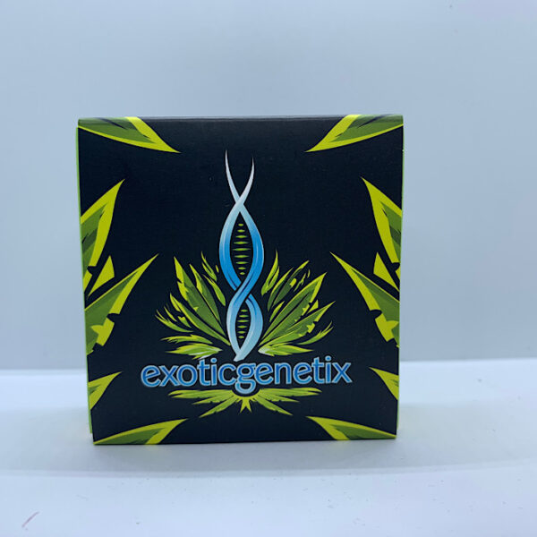 Lot 1034 Exotic Genetix Knockout Runtz (Kimbo Kush X Runtz) {{FEM}} [6+pk] - Image 2