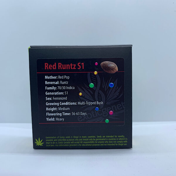Lot 1035 Exotic Genetix Red Runtz S1  (Red Pop x Runtz ) {{FEM}} [6+pk]