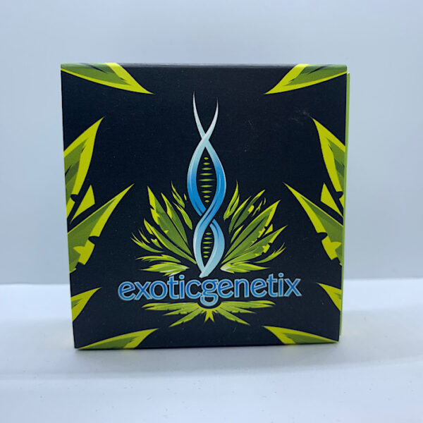 Lot 1035 Exotic Genetix Red Runtz S1  (Red Pop x Runtz ) {{FEM}} [6+pk] - Image 2