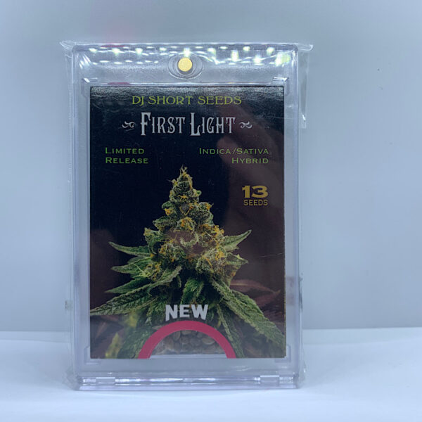 Lot 1044 DJ Short First Light (Happy Pussy F4 x Blueberry F4 ) {{REG}} [13+pk]