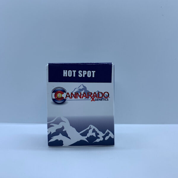 Lot 1046 Cannarado Hot Spot (White Fire  OG (Wifi) x Sundae Driver) {{REG}} [10+pk] - Image 2