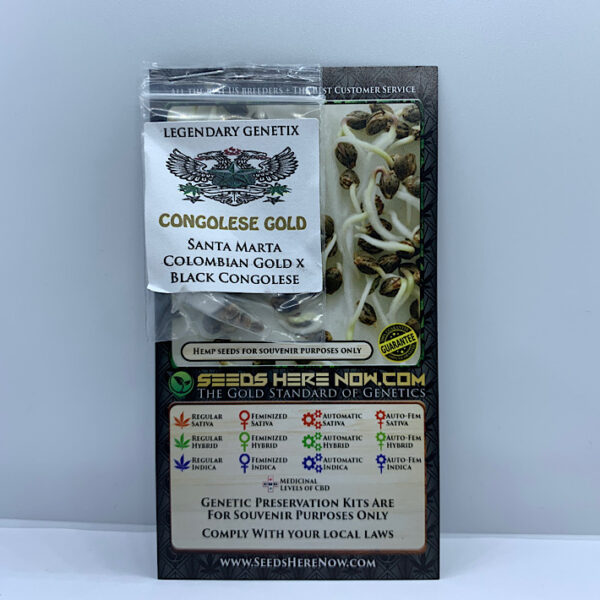 Lot 1053 Snow High Seeds Congolese Gold (Santa Marta Colombian Gold x Black Congolese) {{REG}} [5pk]