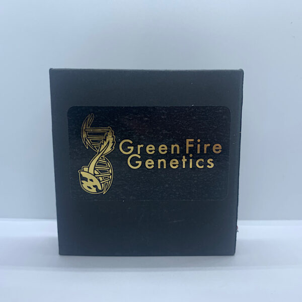 Lot 1054 Green Fire Genetics  Grand Blueberry Pie (Durban Poison x Grape Flame) {{REG}} [12pk] - Image 2