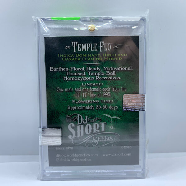 Lot 1088 DJ Short Temple Flo (One Male and One Female Each From the ‘TF/TF’ Line Of 1995) {REG} [8pk] - Image 2