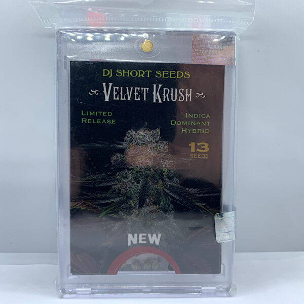 Lot 1089 DJ short Velvet Krush (FXW #4 x F4 BlueBerry Male) {REG} [13pk]