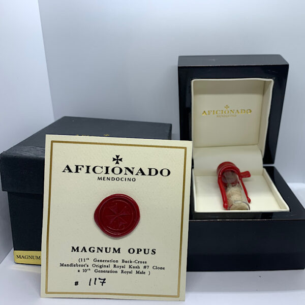 Lot 1127 Aficionado Seeds  Magnum Opus #117 ((11th Generation Back-Cross Mandlebrot’s original Royal Kush #7clone x 10th Genetation Royal Male) ) {REG} [pk]