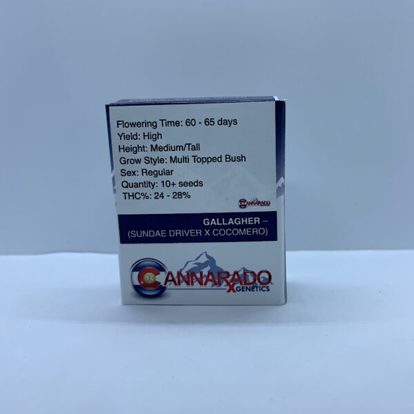 Lot 1143 Cannarado Gallagher (Sundae Driver x Cocomero) {REG} [10+pk] - Image 2