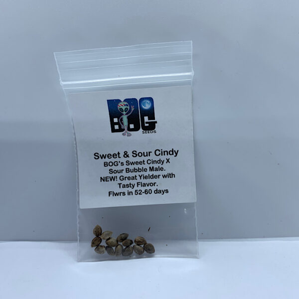 Lot 1161 B.O.G. Sweet & Sour Cindy (BOG’s Sweet Cindy x Sour Bubble Male) {REG} [13pk]