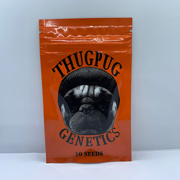 Lot 1174 Thug Pug Genetics Juniors Jello (Moms Jello x Junior (PugsBreath F2)) {REG} [10pk] - Image 2