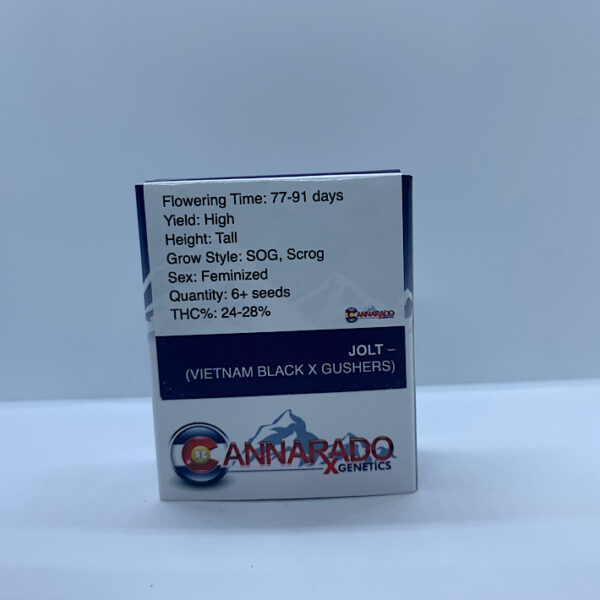 Lot 1176 Cannarado Jolt (Vietnam Black X Gushers) {FEM} [6+pk] - Image 2