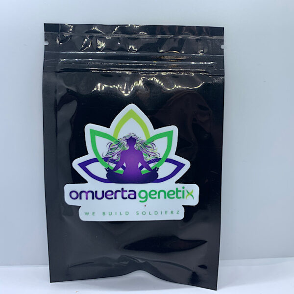 Lot 1184 Omurerta  Herijuana F4 IBL (Petrolia Headstash x Killer New Haven) {REG} [10+pk]