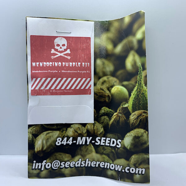 Lot 1183 Pirates of the Emerald Triangle Mendocino Purple BX1 (Mendocino Purple x Mendocino Purple f1) {REG} [11pk]