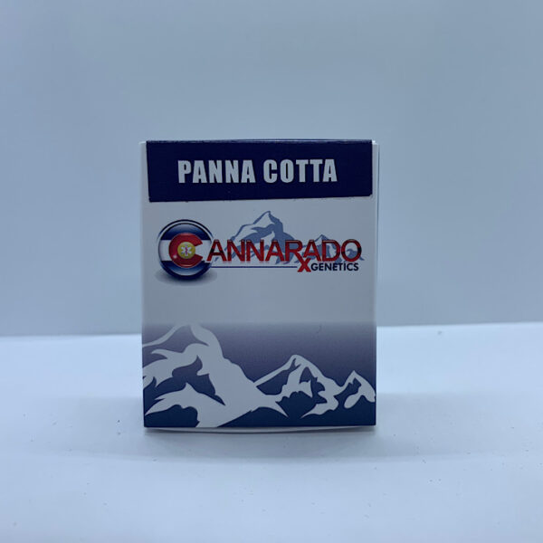 Lot 1195 Cannarado Panna Cotta (Chocolate Thai x Cocomero) {REG} [10+pk]