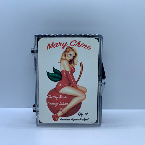 Lot 1240 Unknown Prophet  Mary Chino (Cherry Kush x Orange Tahoe ) {REG} [12pk]