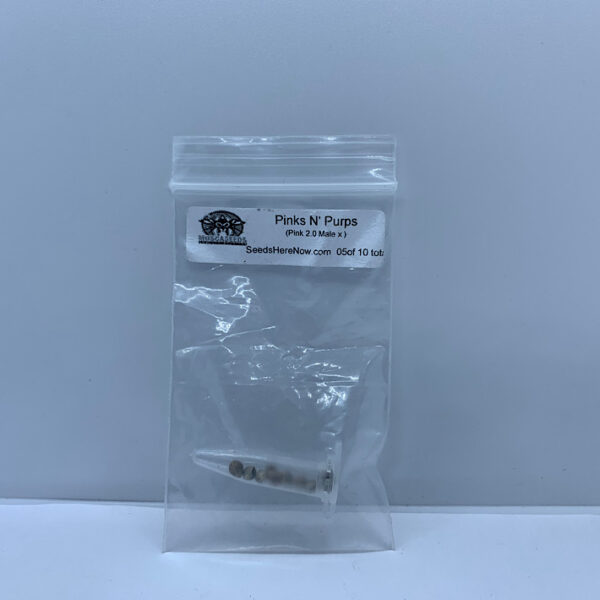 Lot 1241 Mosca Pinks N Purps  (??? x Pink 2.0 male ( #5 of 10 total packs ) ) {REG} [10pk]