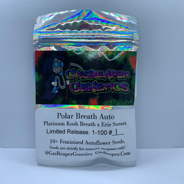Lot 1242 GasReaper Polar Breath Auto (SHN EXCLUSIVE) (Platinum Kush Breath x Erie Sunset #1 ) {AUTO-FEM} [10pk] - Image 2