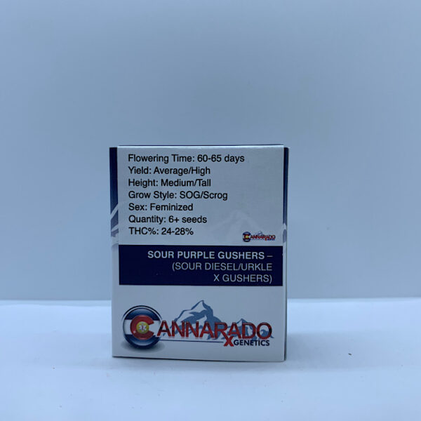 Lot 1252 Cannarado Sour Purple Gushers (Sour Diesel/Urkle X Gushers) {FEM} [6pk] - Image 2
