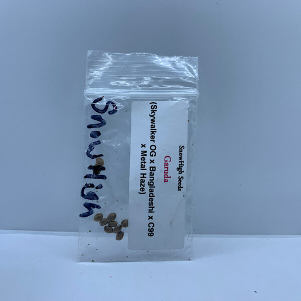 Lot 1253 Snow High Seeds  Garuda (Skywalker OG x Bangladeshu x c99 ) {REG} [10pk]