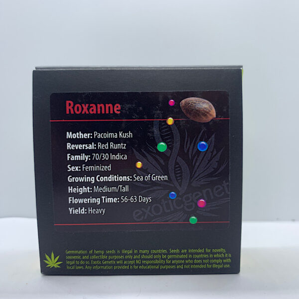 Lot 1375 Exotic Genetix Roxanne (Pacoima Kush X  Red Runtz) {FEM} [6pk]