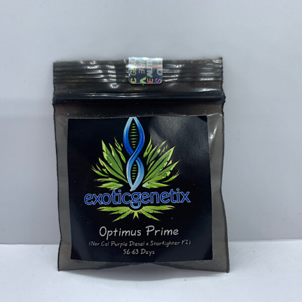 Lot 1389 Exotic Genetix Optimus Prime (Nor Cal Purple Diesel x Starfighter F2 TA ) {REG} [10pk]