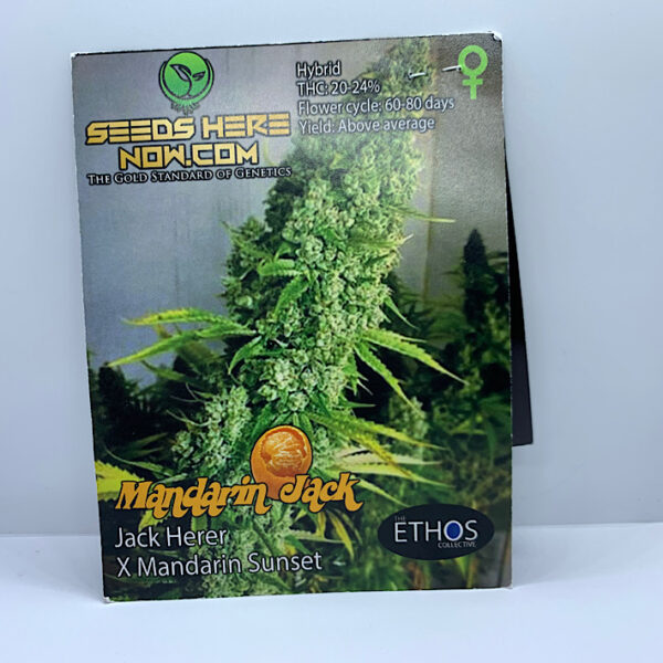 Lot 1434 Ethos Mandarin Jack (Jack Herer x Mandarin Sunset) {REG} [10pk]