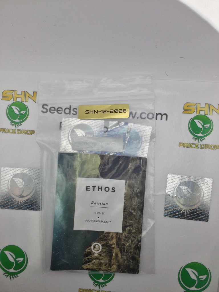 Rawtton – Ethos Genetics – Feminized – 6