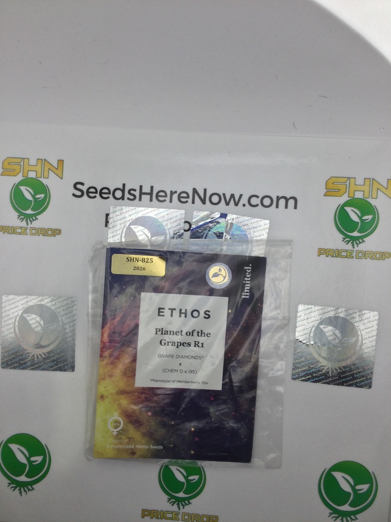 Planet of the Grapes R1 – Ethos Genetics – Feminized – 6