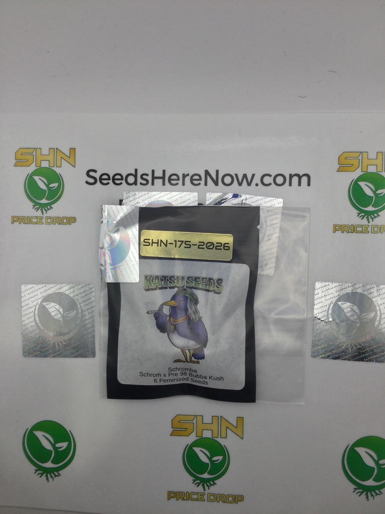 Schromba – Katsu Seeds – Feminized – 6