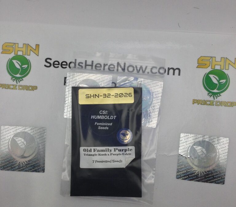 Cannabis Seed Breeders Explained: How To Know Who’s Who in Genetics