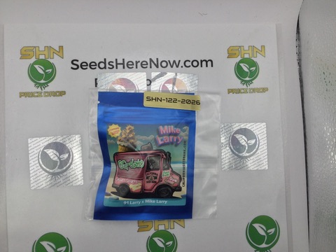 OG-elato – California Seed Bank Genetics – Regular – 12