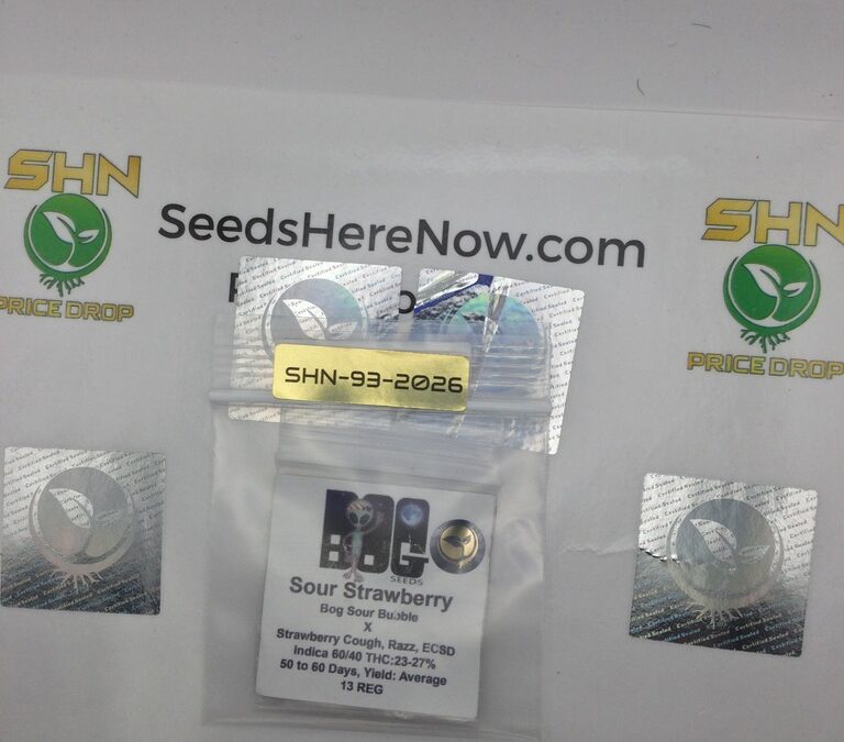 How To Choose the Right Cannabis Seeds for Your Garden