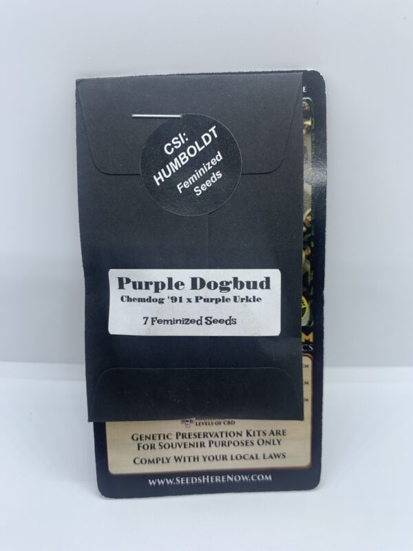CSI Humboldt - Purple Dogbud {FEM} [7pk]