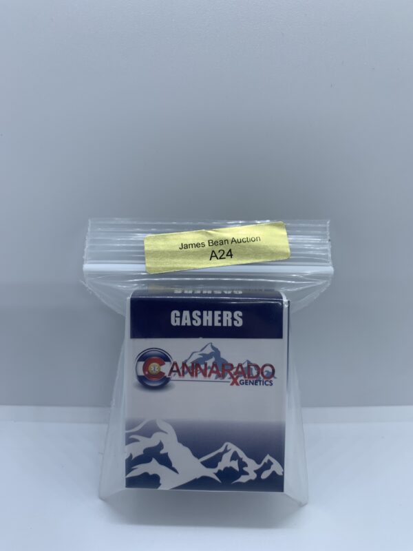 Cannarado Genetics – Gashers {FEM} [6pk] - Image 2
