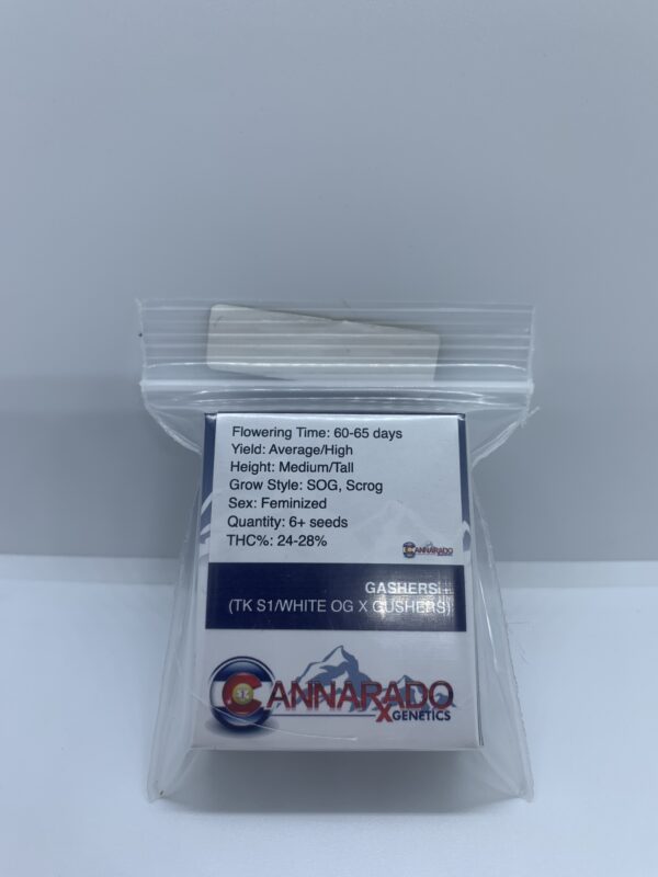 Cannarado Genetics – Gashers {FEM} [6pk]