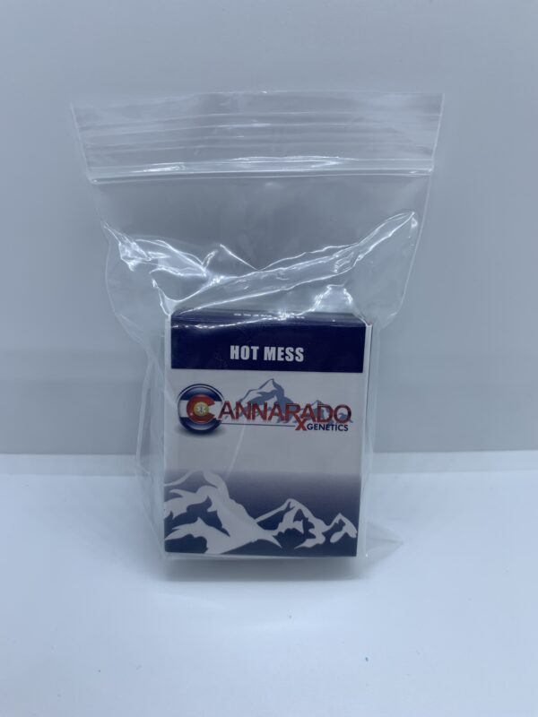 Cannarado Genetics – Hot Mess (Wifi x Grumpz) {REG} [10pk]