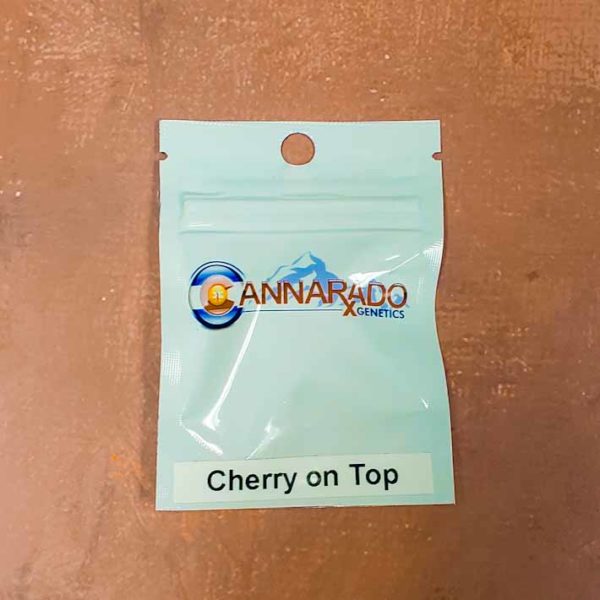 Lot #112 Cannarado Cherry on Top (Cherry Pie x Sundae Driver) [Fem] [6pk]