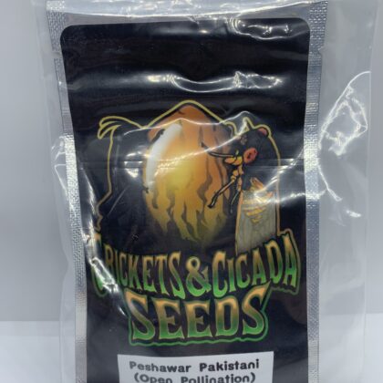 Crickets and Cicada Seeds - Peshawar Pakistani (REG) {12pk}