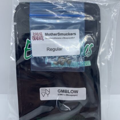 Envy Genetics - GMBlow {REG} [12pk]