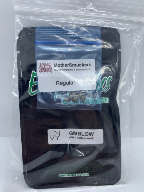 Envy Genetics - GMBlow {REG} [12pk]