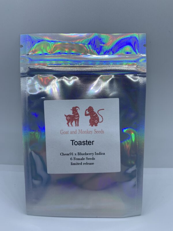 Goat and Monkey Seeds - Toaster {FEM} [6pk]