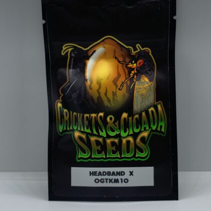Crickets and Cicada Seeds - Headband x OGTKM10 (REG) {12pk}