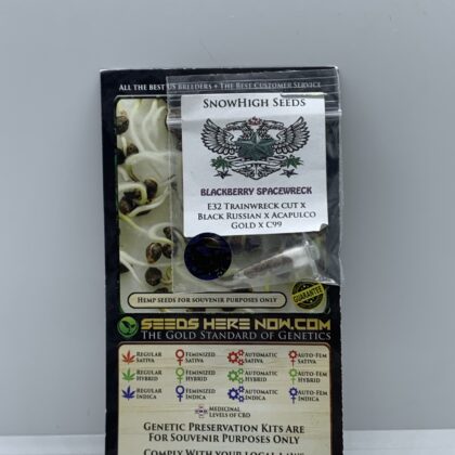 Snow High - Blackberry Spacewreck [Reg ] [5pk]