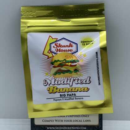 Skunk House - Big Papa {REG} [12pk]