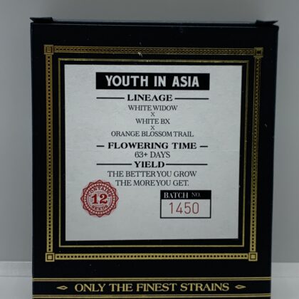 Swamp Boys Seeds - Youth In Asia {REG} [12pk]